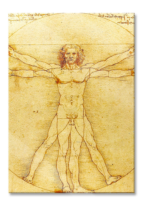 Pixxprint Leonardo da Vinci - Vitruvianischer Mensch, Glasbild