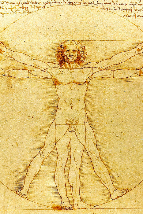 Leonardo da Vinci - Vitruvianischer Mensch, Glasbild