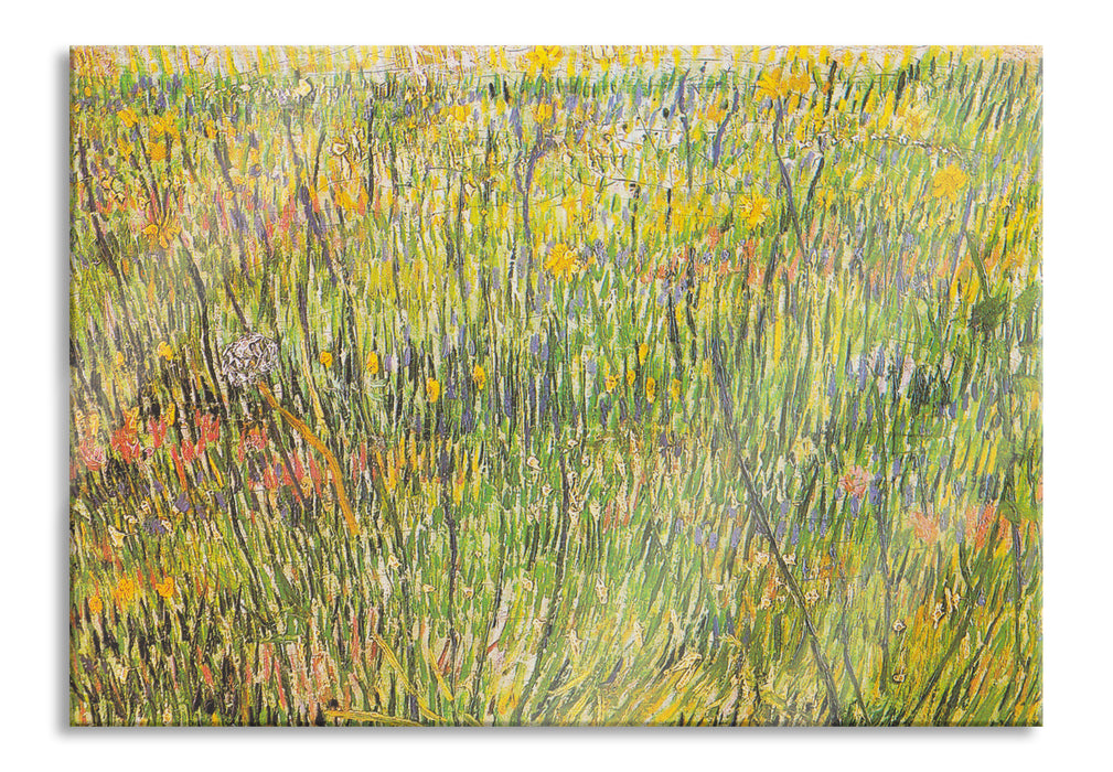 Vincent Van Gogh - Gras-Stelle , Glasbild