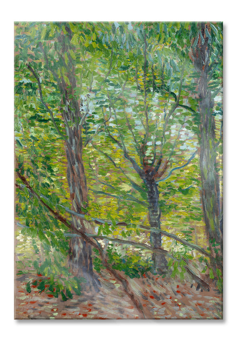 Vincent Van Gogh - Bäume , Glasbild