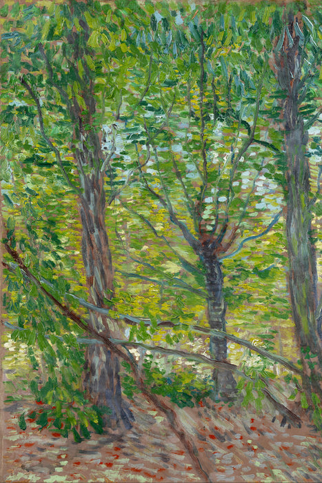Vincent Van Gogh - Bäume , Glasbild