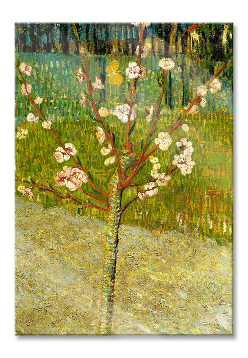 Pixxprint Vincent Van Gogh - Blühender Mandelbaum , Glasbild