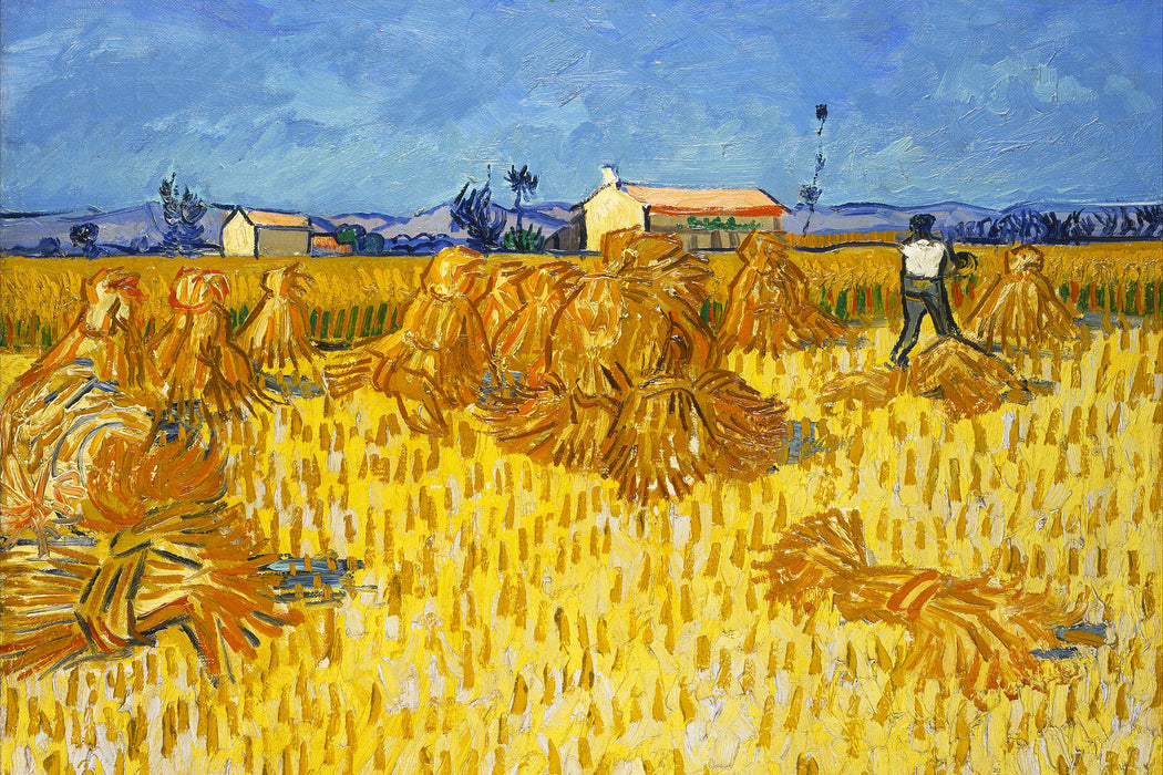 Vincent Van Gogh - Getreide-Ernte in der Provence , Glasbild