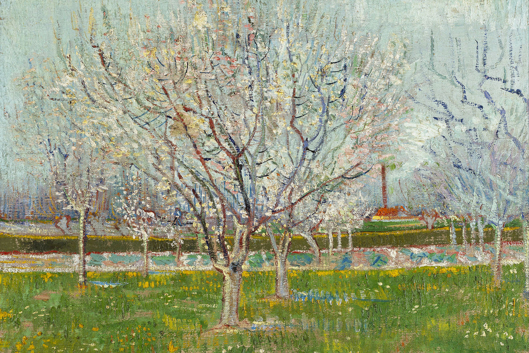 Vincent Van Gogh - Blühender Obstgarten Pflaumenbaum , Glasbild