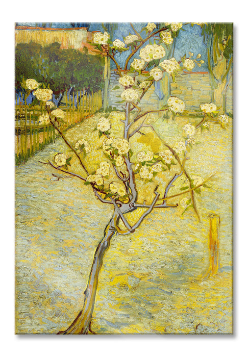 Pixxprint Vincent Van Gogh - Blühender kleiner Birnenbaum , Glasbild