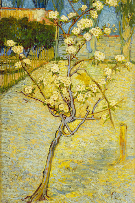 Vincent Van Gogh - Blühender kleiner Birnenbaum , Glasbild