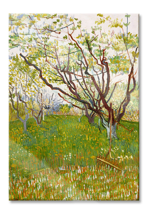 Vincent Van Gogh - Der blühende Obstgarten , Glasbild
