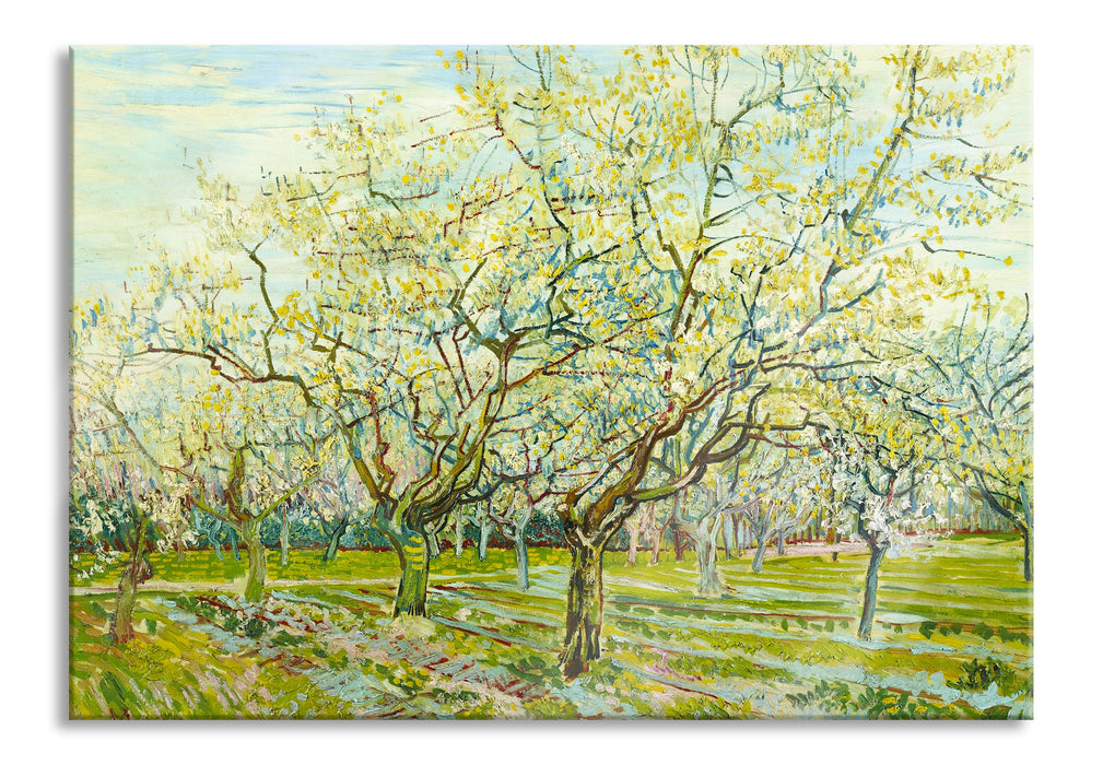 Vincent Van Gogh - Der weiße Obstgarten , Glasbild