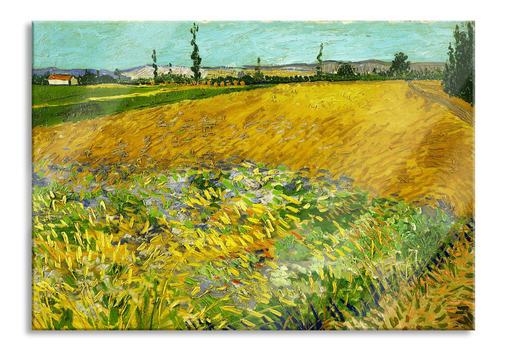 Vincent Van Gogh - Weizenfeld , Glasbild