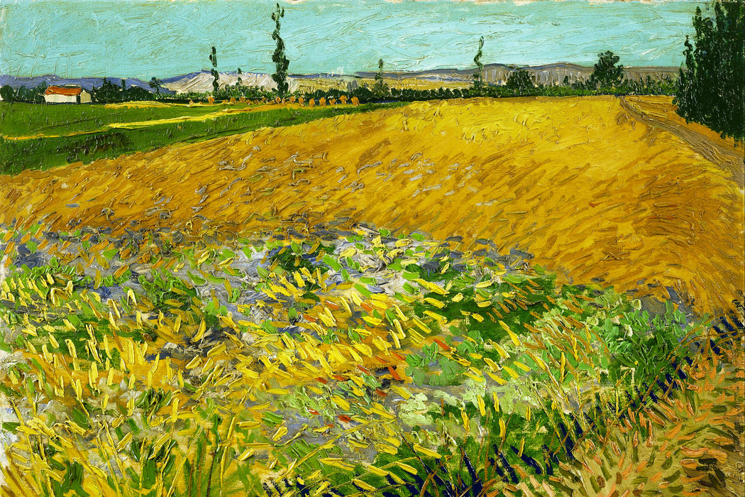 Vincent Van Gogh - Weizenfeld , Glasbild