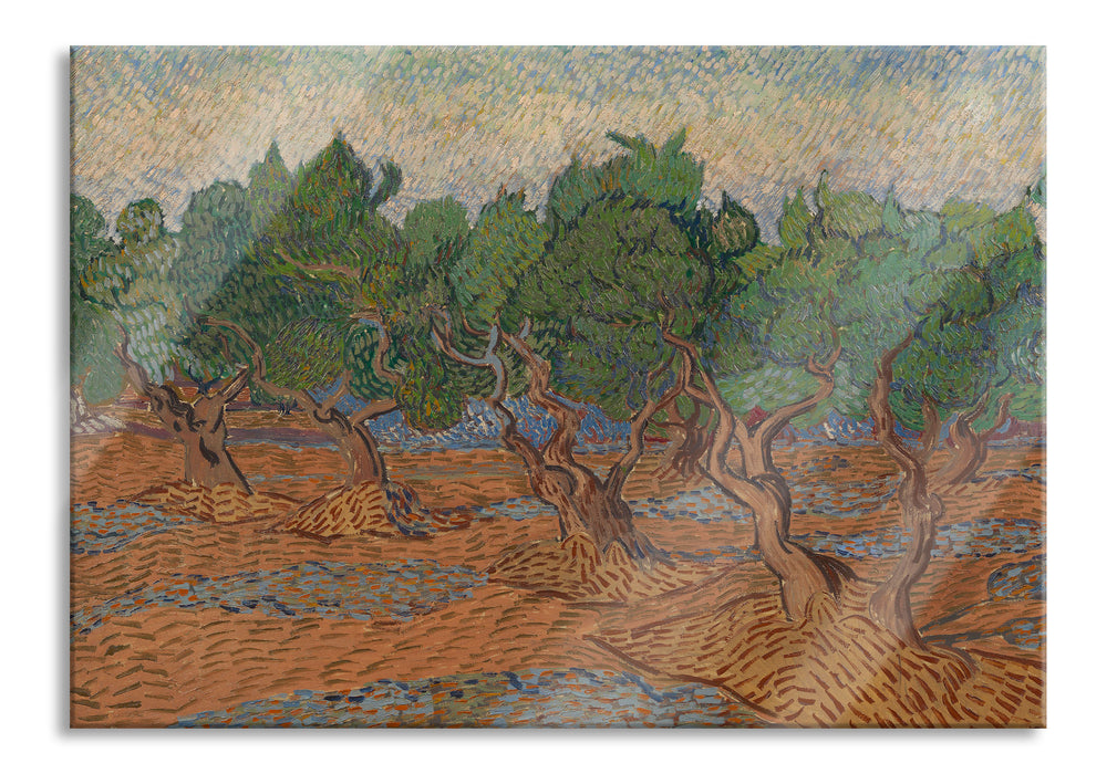 Vincent Van Gogh - Oliven-Hain , Glasbild
