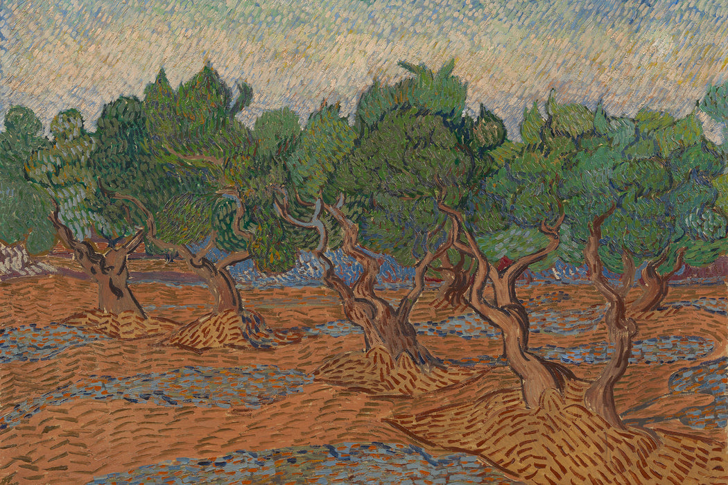 Vincent Van Gogh - Oliven-Hain , Glasbild