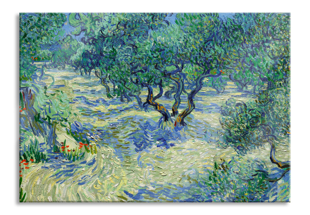 Vincent Van Gogh - Oliven-Feld , Glasbild