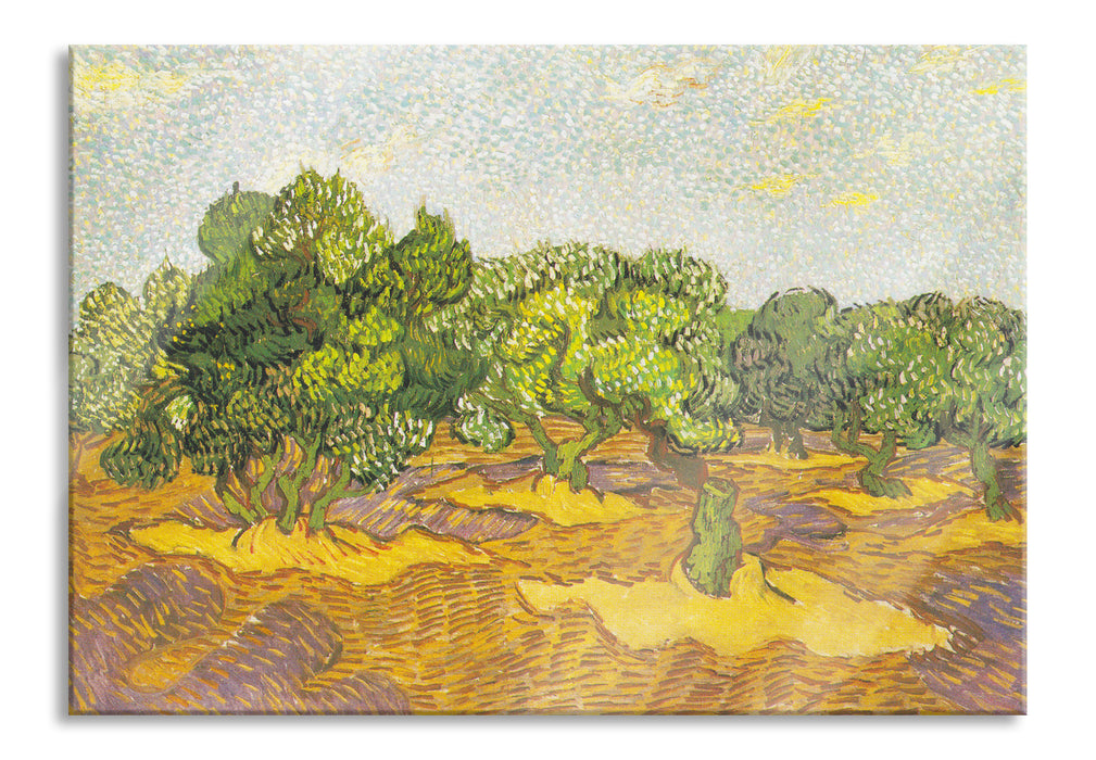 Vincent Van Gogh - Oliven-Bäume II , Glasbild