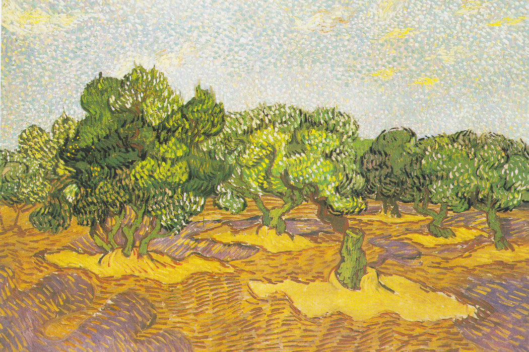 Vincent Van Gogh - Oliven-Bäume II , Glasbild