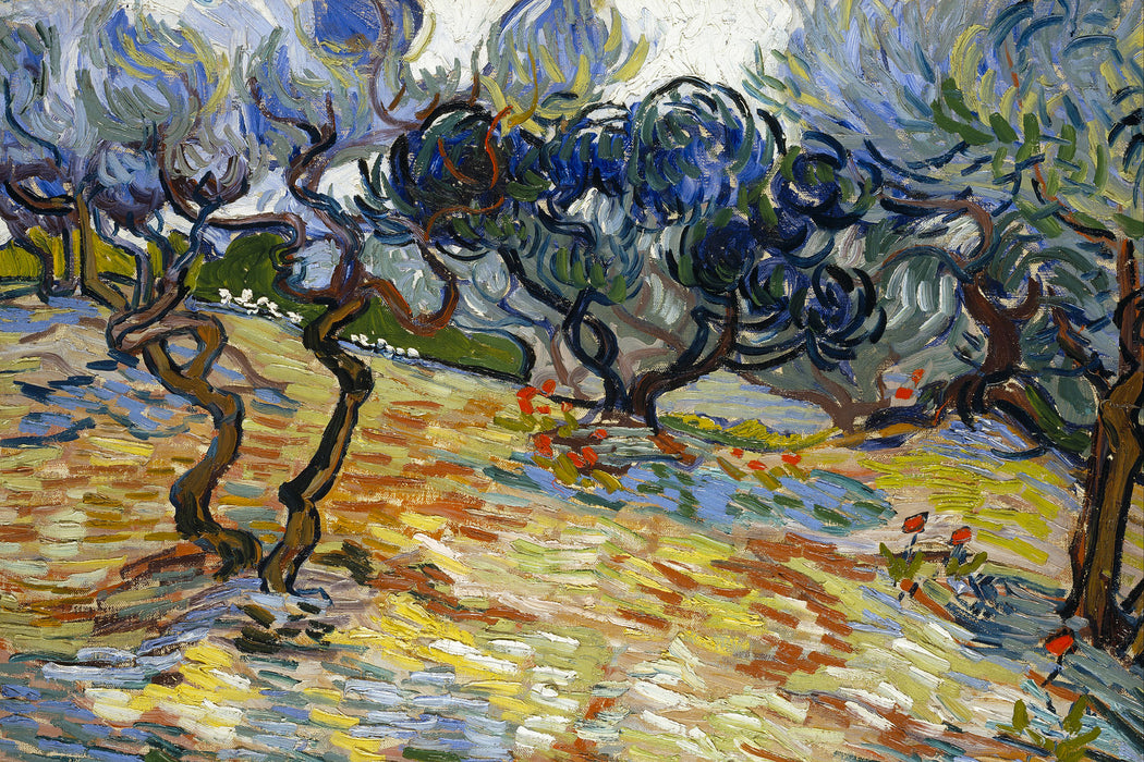 Vincent Van Gogh - Oliven-Bäume , Glasbild