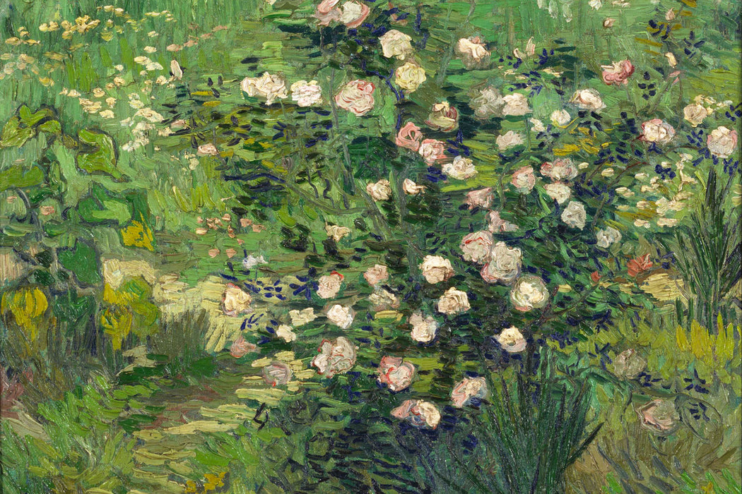 Vincent Van Gogh - Rosen , Glasbild