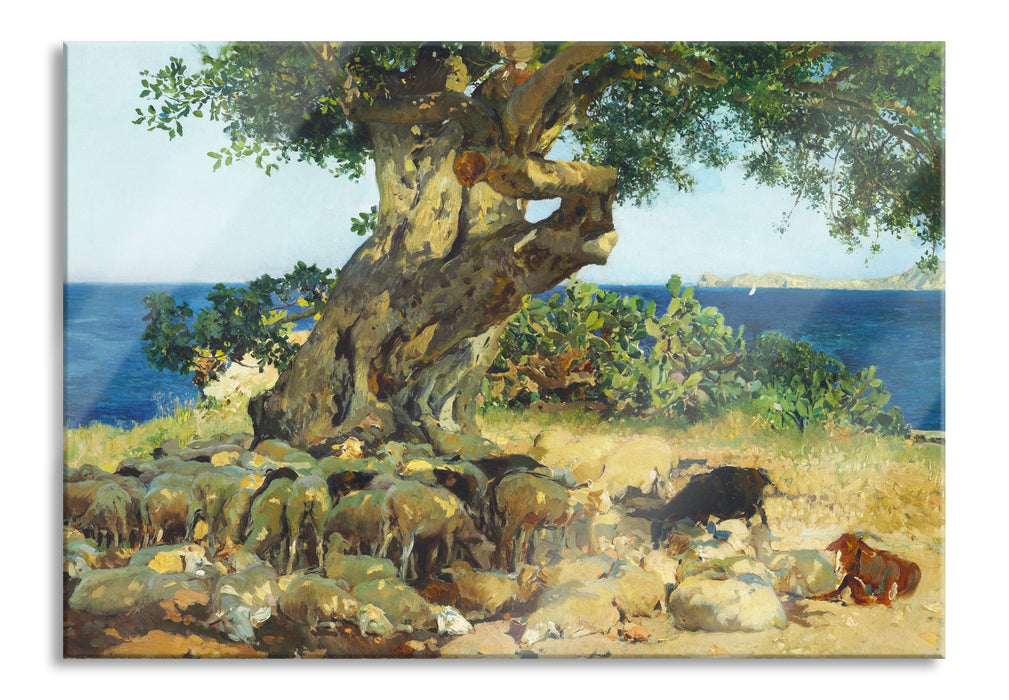 Pixxprint Joaquín Sorolla - Johannisbrotbaum Algarrobo, Glasbild