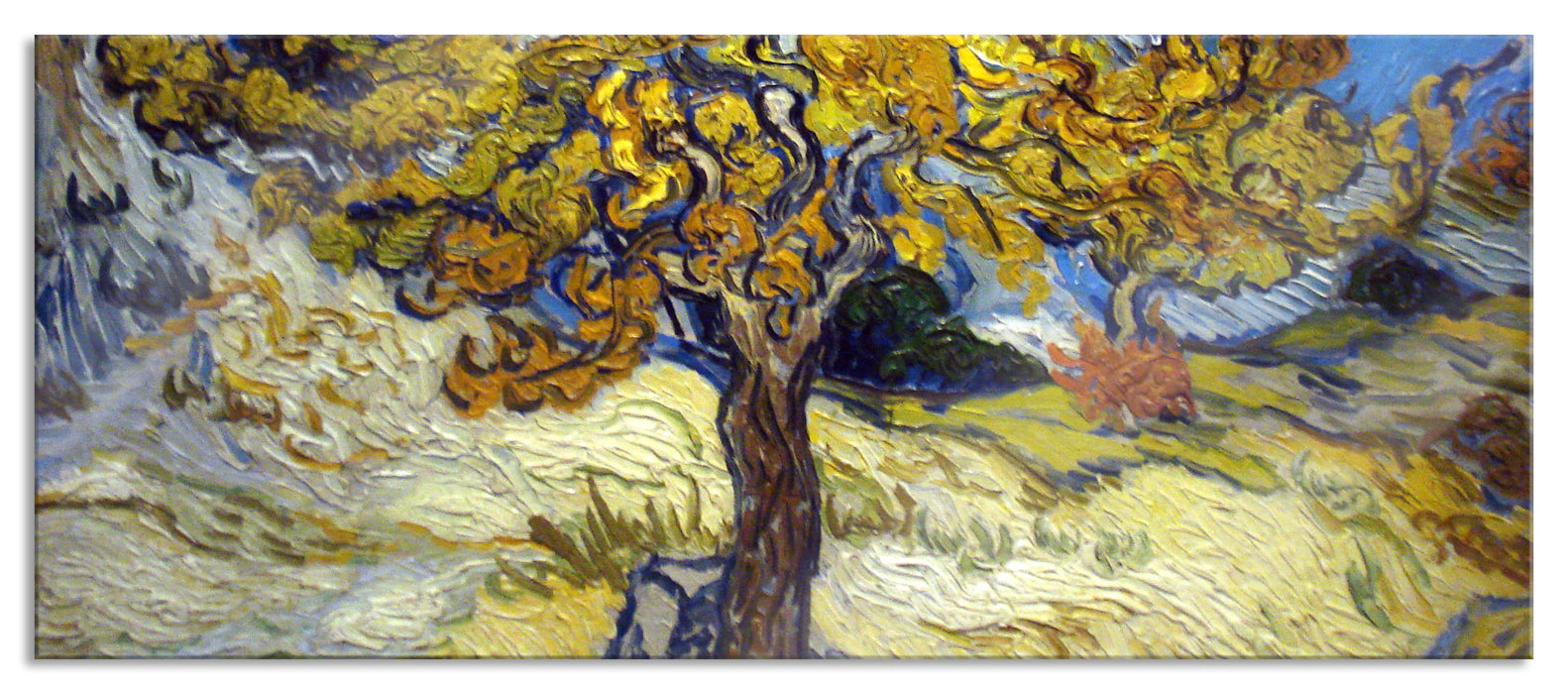 Pixxprint Vincent Van Gogh - Maulbeerbaum, Glasbild Panorama