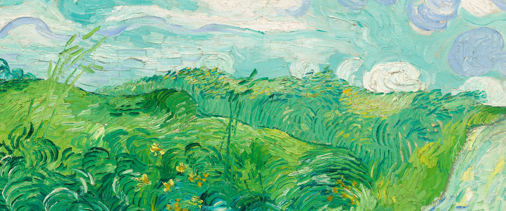 Vincent Van Gogh - Feld mit grünem Weizen, Glasbild Panorama