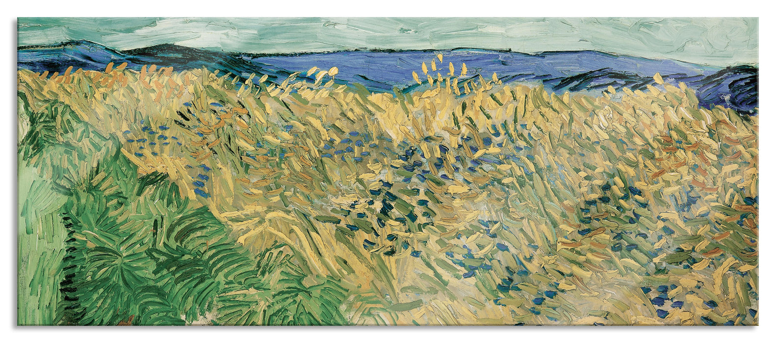 Pixxprint Vincent Van Gogh - Weizenfeld mit Kornblumen, Glasbild Panorama