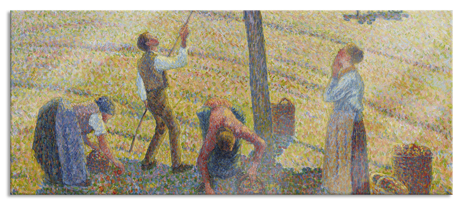 Pixxprint Camille Pissarro - Apple Harvest, Glasbild Panorama