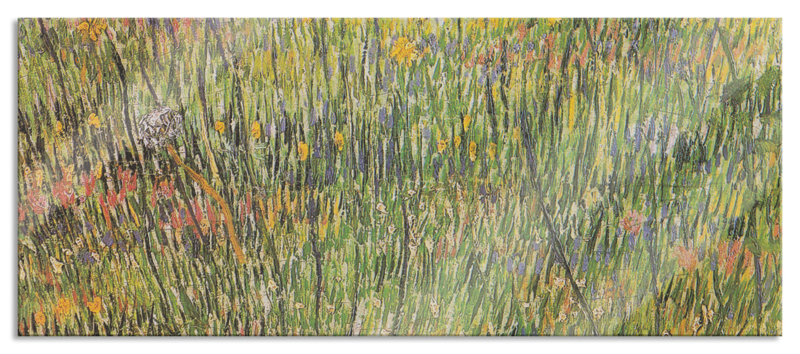 Pixxprint Vincent Van Gogh - Gras-Stelle , Glasbild Panorama