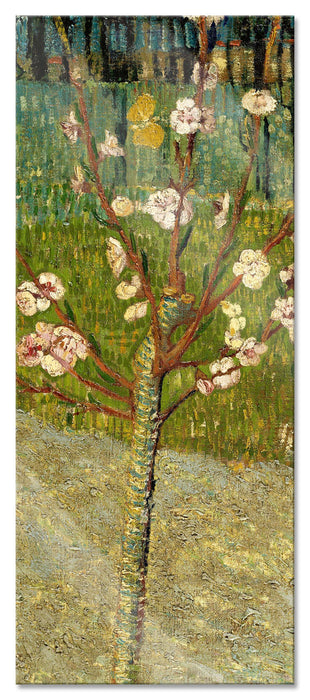 Pixxprint Vincent Van Gogh - Blühender Mandelbaum , Glasbild Panorama