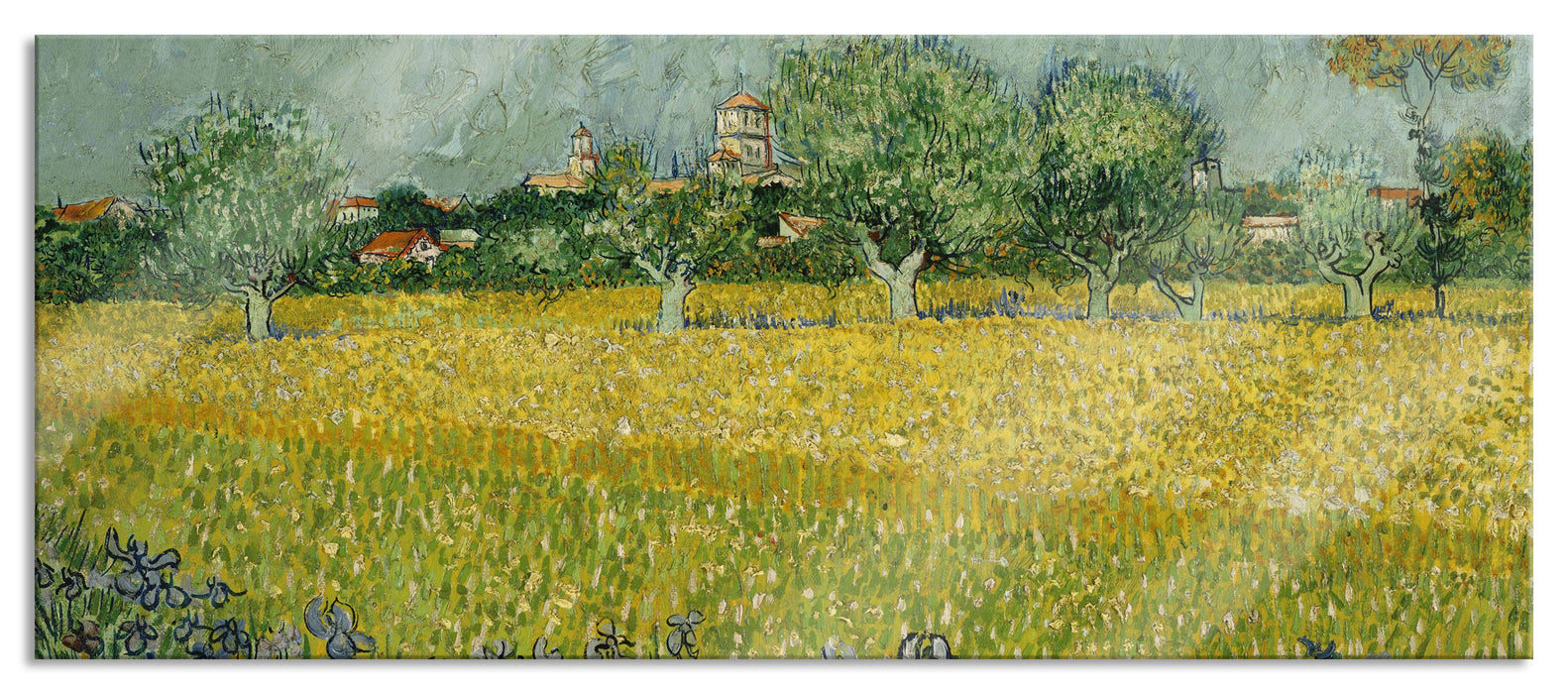 Pixxprint Vincent Van Gogh - Feld mit Blumen in der Nähe von Arle, Glasbild Panorama