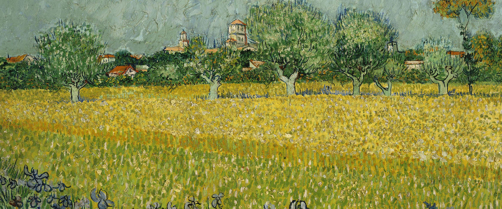 Vincent Van Gogh - Feld mit Blumen in der Nähe von Arle, Glasbild Panorama