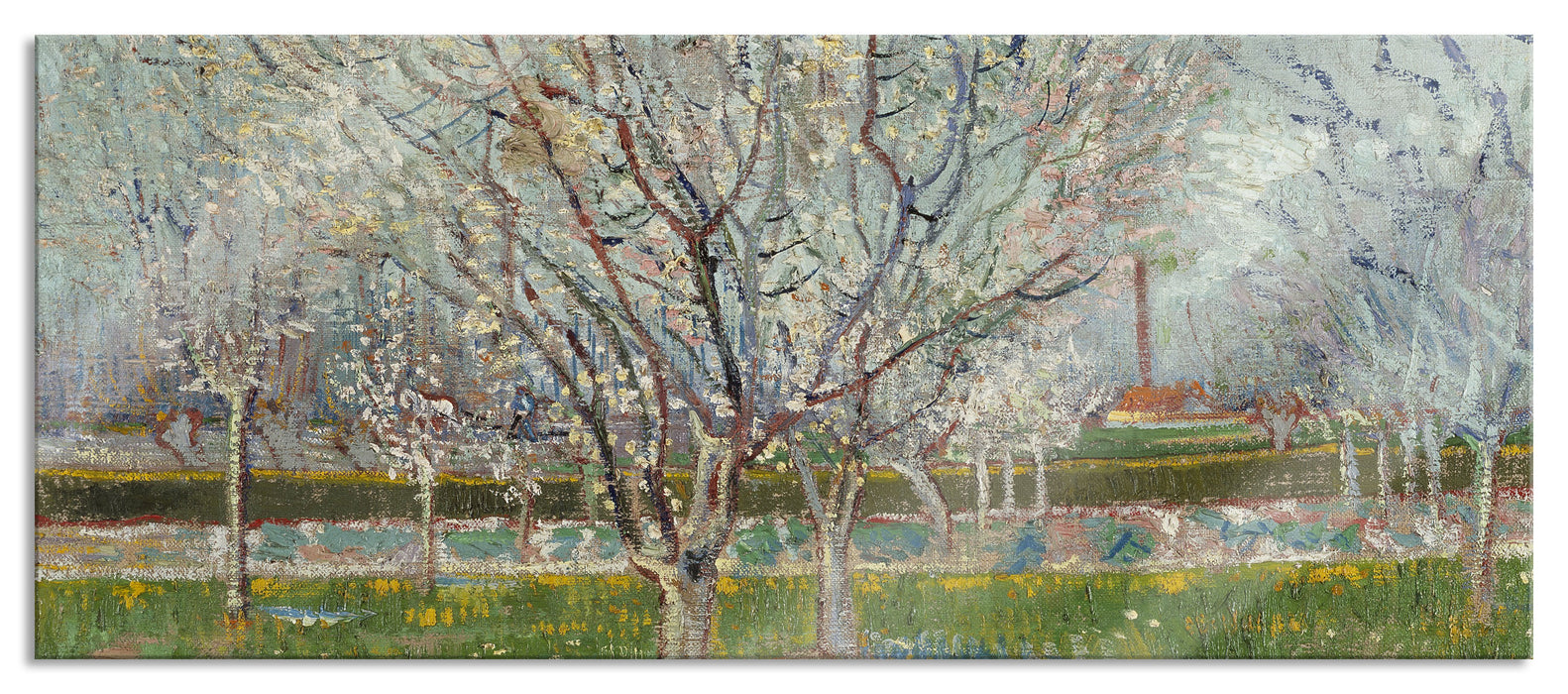 Pixxprint Vincent Van Gogh - Blühender Obstgarten Pflaumenbaum , Glasbild Panorama