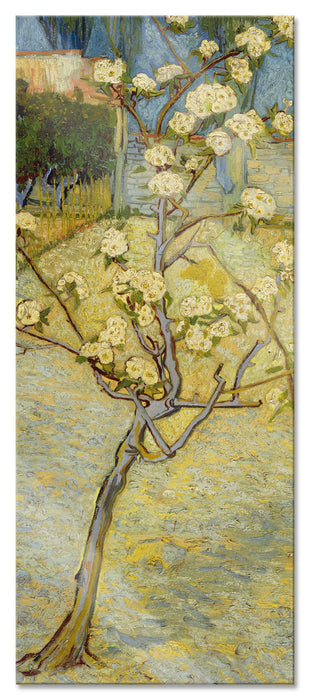 Pixxprint Vincent Van Gogh - Blühender kleiner Birnenbaum , Glasbild Panorama