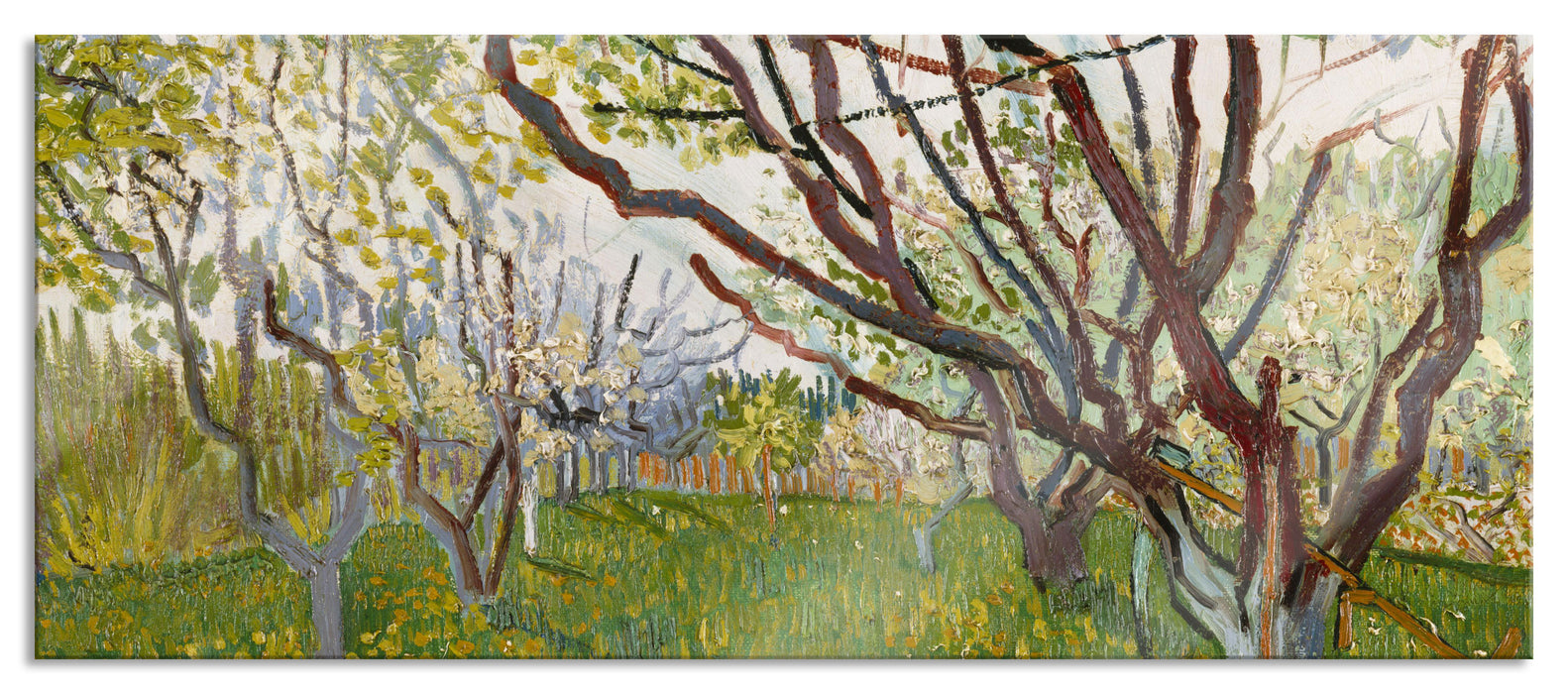 Pixxprint Vincent Van Gogh - Der blühende Obstgarten , Glasbild Panorama