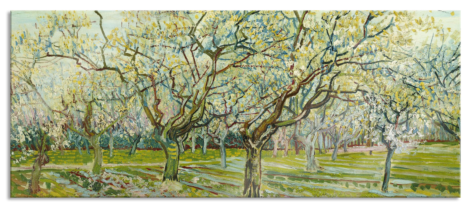 Pixxprint Vincent Van Gogh - Der weiße Obstgarten , Glasbild Panorama