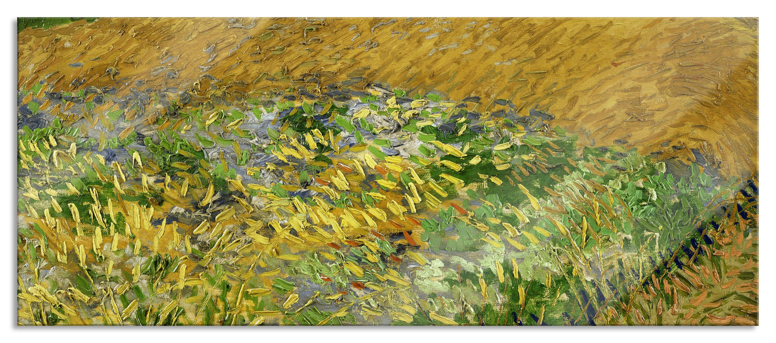 Pixxprint Vincent Van Gogh - Weizenfeld , Glasbild Panorama