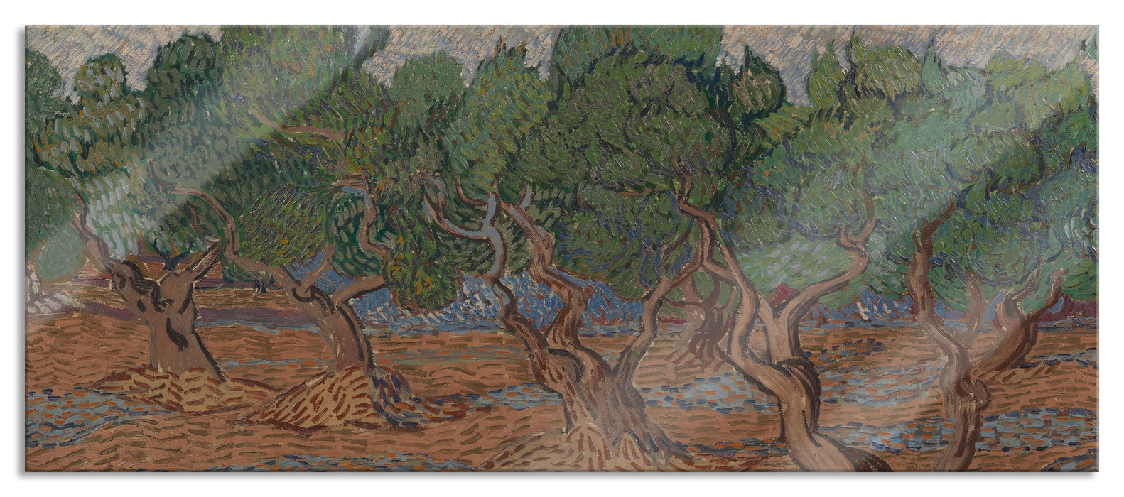 Pixxprint Vincent Van Gogh - Oliven-Hain , Glasbild Panorama