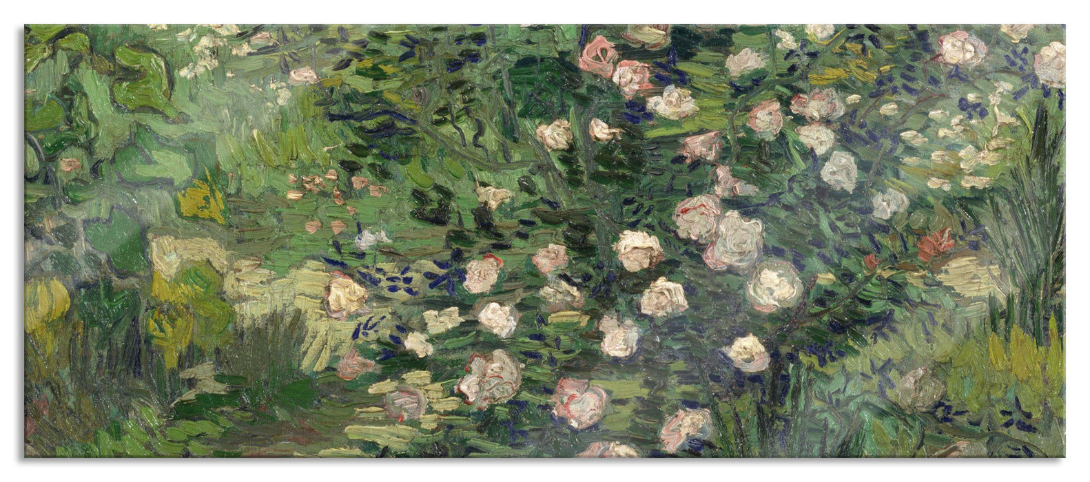 Pixxprint Vincent Van Gogh - Rosen , Glasbild Panorama