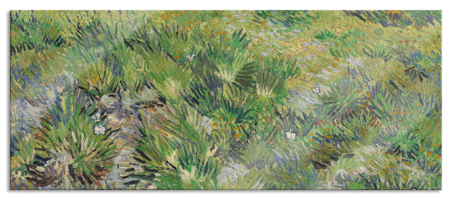 Vincent Van Gogh - Hohes Gras mit Schmetterlingen , Glasbild Panorama