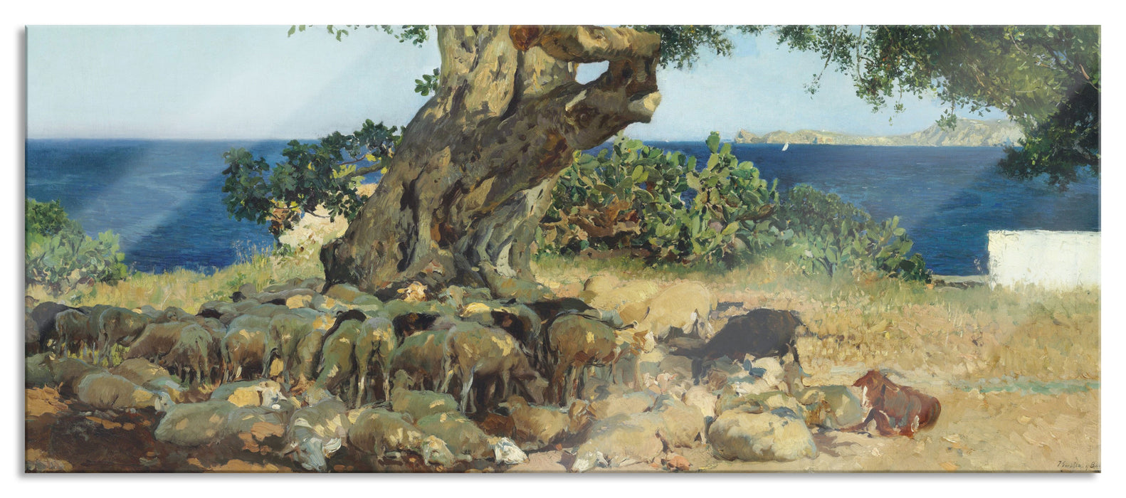 Pixxprint Joaquín Sorolla - Johannisbrotbaum Algarrobo, Glasbild Panorama