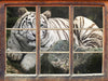 Stolzer weisser Tiger  3D Wandtattoo Fenster