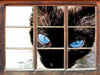 Schwarze elegante Katze  3D Wandtattoo Fenster