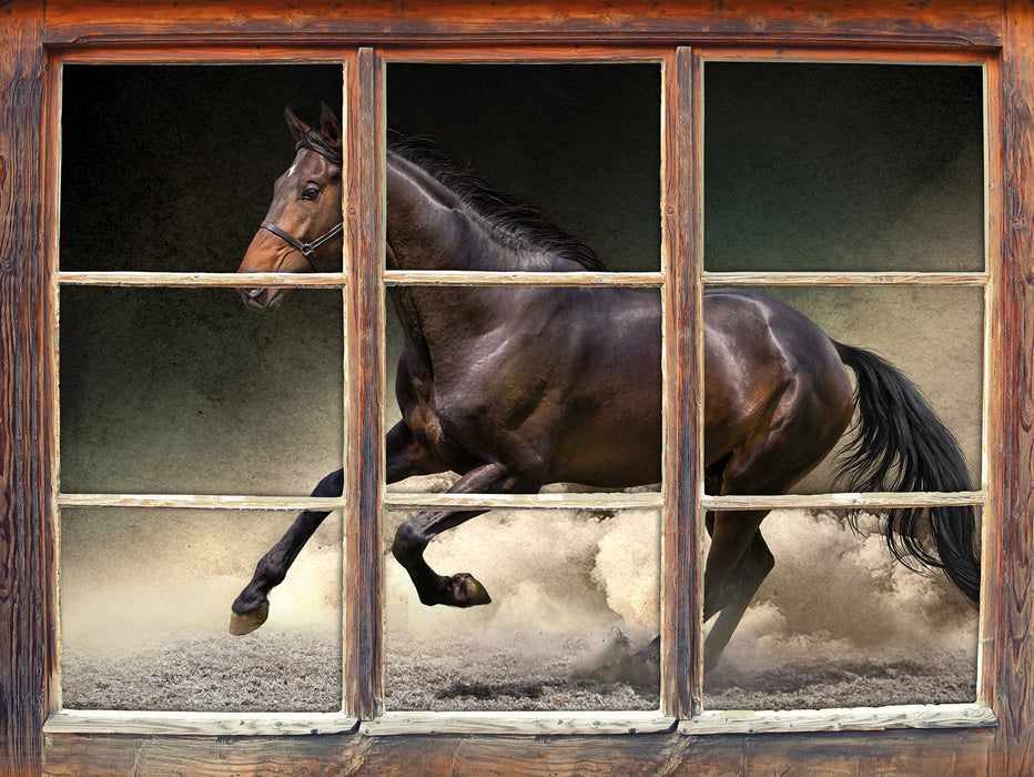 Anmutiges dunkles Pferd  3D Wandtattoo Fenster