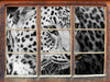 Stolzer Leopard  3D Wandtattoo Fenster