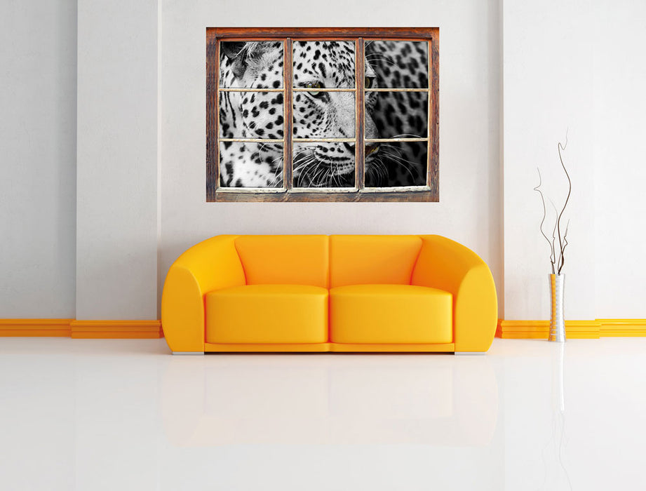 Stolzer Leopard 3D Wandtattoo Fenster Wand