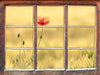 Wunderschöne Mohnblume im Feld  3D Wandtattoo Fenster