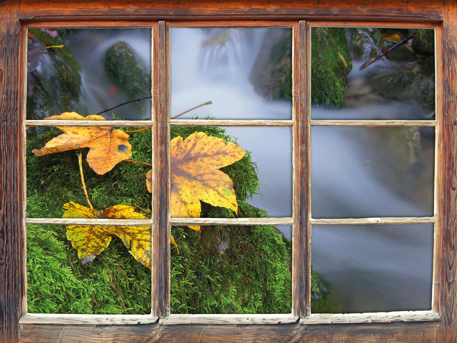 Blätter auf Moos an Bach  3D Wandtattoo Fenster