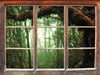 Geheimnisvoller Regenwald  3D Wandtattoo Fenster