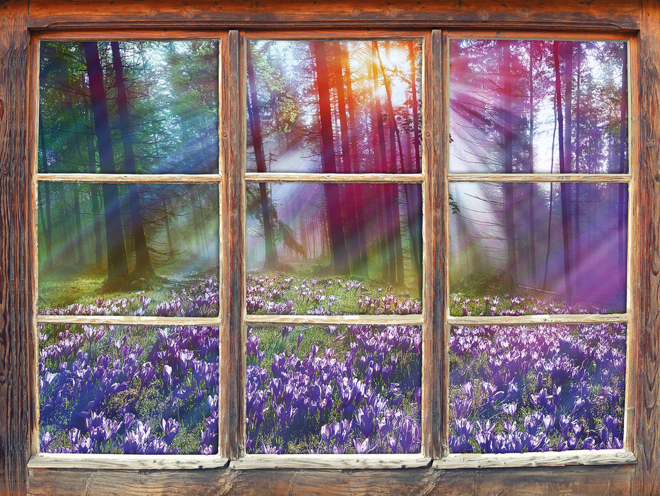 Krokusse im Wald 3D Wandtattoo Fenster