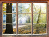 Sonnenstrahlen im Wald 3D Wandtattoo Fenster