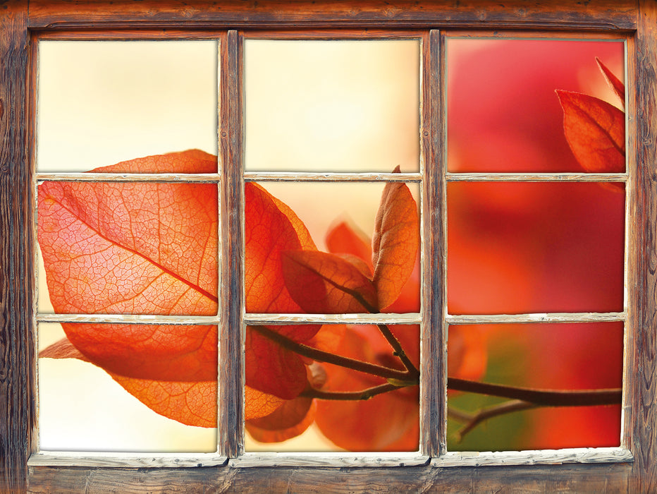 Sonnenstrahlen im Herbst  3D Wandtattoo Fenster